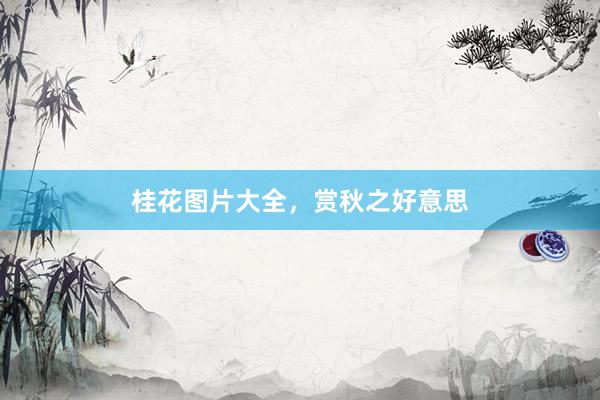 桂花图片大全，赏秋之好意思